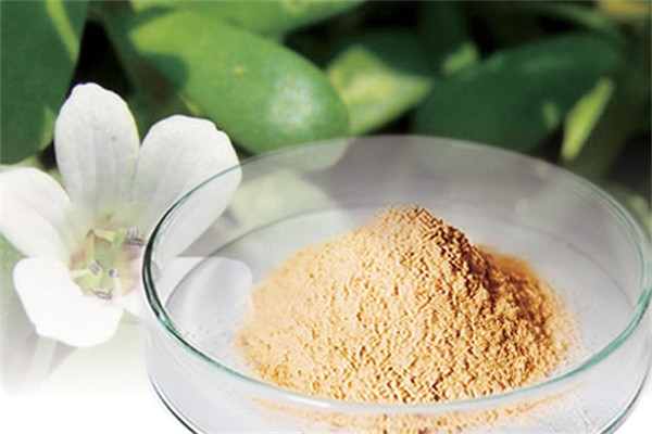 马齿苋提取物对皮肤的作用是什么