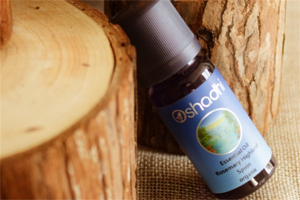 迷迭香精油的功效与作用有哪些