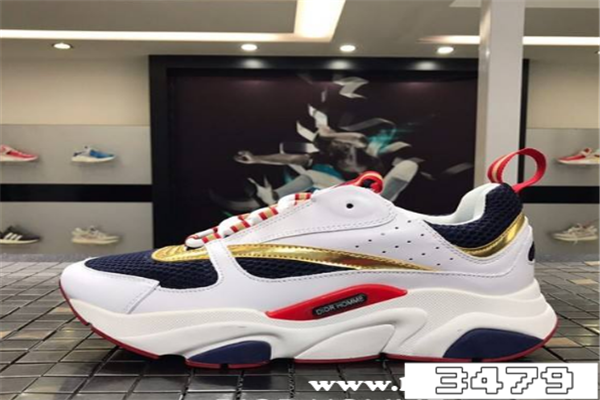 迪奥老爹鞋哪个颜色好看，多少钱一双