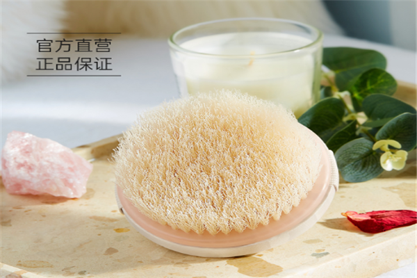 ecotools美体干刷怎么样，ecotools美体干刷好用吗