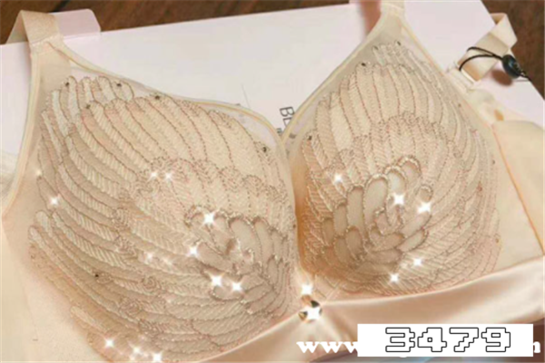 品牌文胸前十大排名，文胸品牌前十大排名榜