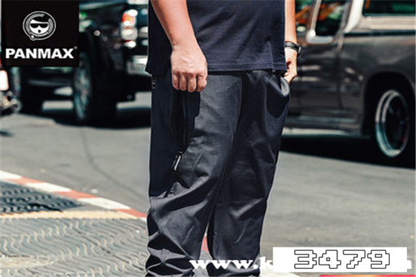 panmax是什么牌子，panmax是什么档次