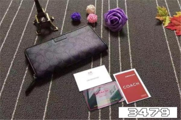 冠驰和蔻驰一样品牌吗，冠驰是哪个国家牌子