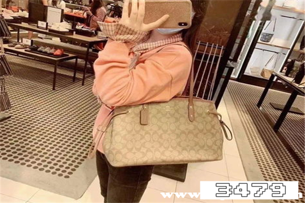 蔻驰和古驰哪个档次高，蔻驰和迪桑娜哪个档次高