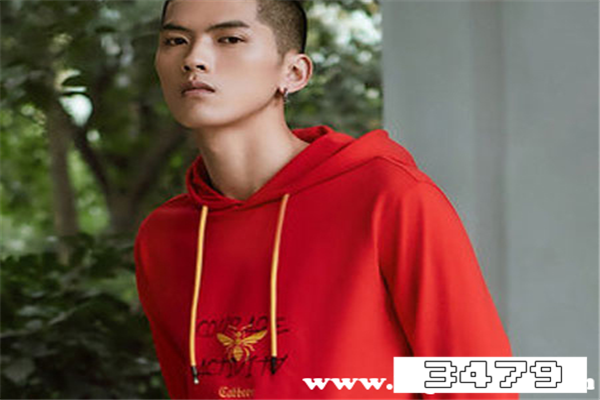 蜜蜂牌子的衣服男装，蜜蜂刺绣的男装牌子是什么品牌