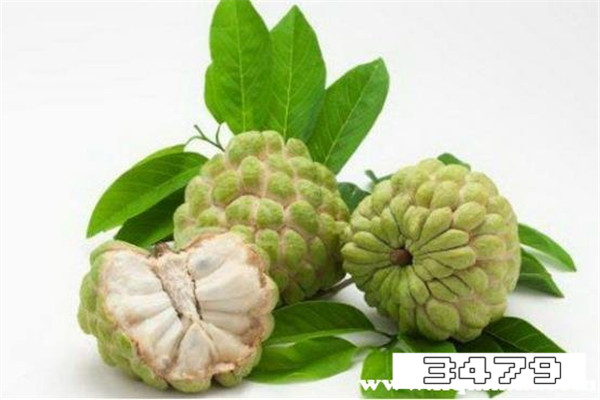 吃释迦果的好处和坏处，释迦果的功效与作用禁忌