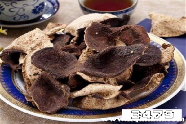 陈皮的作用与功能主治，陈皮功效与作用的功能与主治