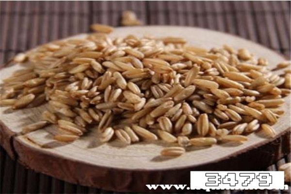 吃燕麦米还是燕麦片好，燕麦米的禁忌与副作用