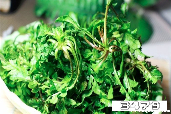 女人吃荠菜的好处，吃荠菜有什么好处