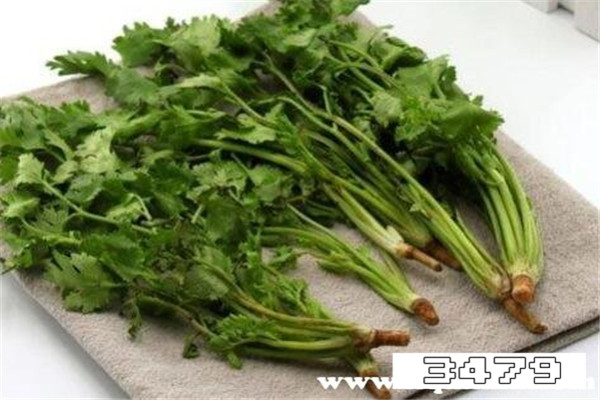 香菜不能与什么食物一起吃，香菜不能和什么一起吃会中毒