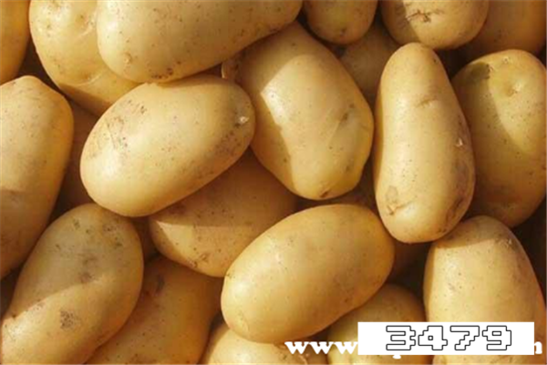 马铃薯100g营养成分表，马铃薯的营养成分