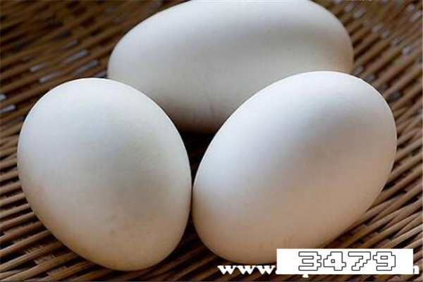 坐月子可以吃鹅蛋吗，坐月子怎么吃鹅蛋
