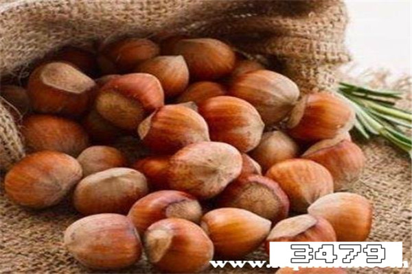 吃榛子的好处与坏处，榛子一天吃多少为宜