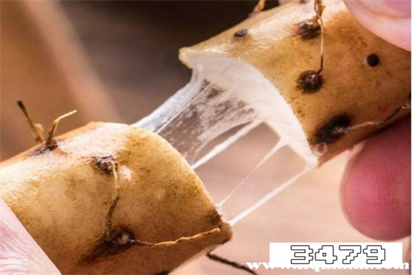 山药上火还是去火，吃山药上火吗