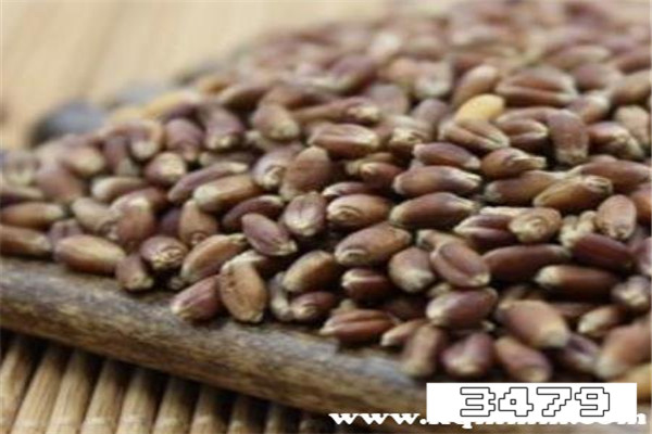 黑麦长期吃副作用，黑麦不适宜人群