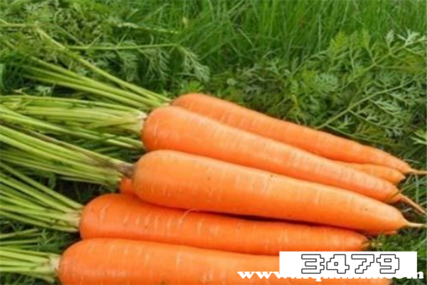 胡萝卜相克相宜食物，胡萝卜相克的食物有哪些