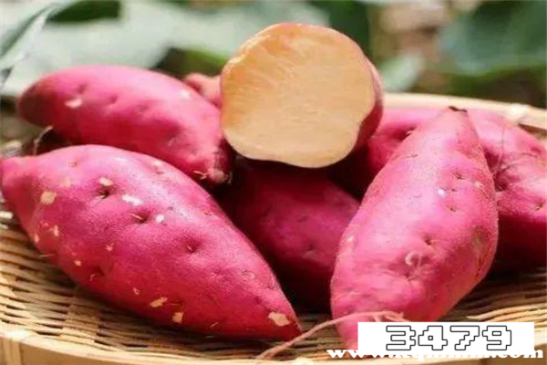 红薯粉和米饭哪个容易胖，吃米饭和红薯哪个更容易胖