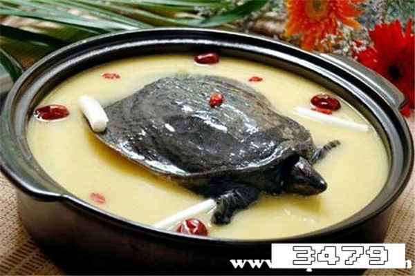 女人吃甲鱼的功效与作用，女人吃甲鱼可以补气血吗