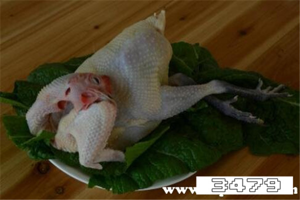 女人为什么不能吃公鸡，为啥女孩不能吃公鸡肉