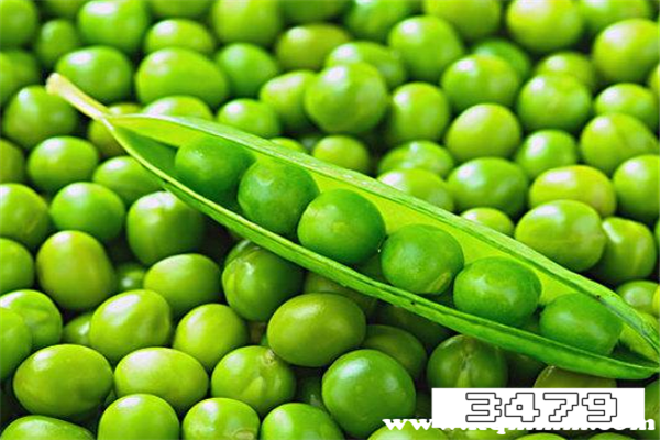 小孩为什么不能吃豌豆，什么人不能吃豌豆