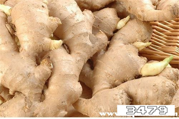 女人大量吃姜的严重副作用，大量吃姜的严重副作用