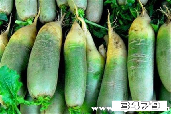 女性吃青萝卜的坏处，女人吃青萝卜的好处