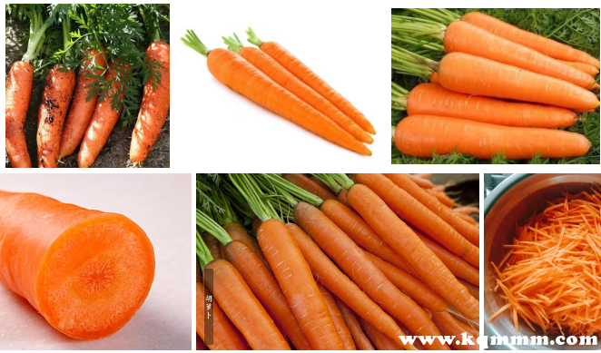 女生为什么要少吃胡萝卜，女性吃胡萝卜的好处与坏处