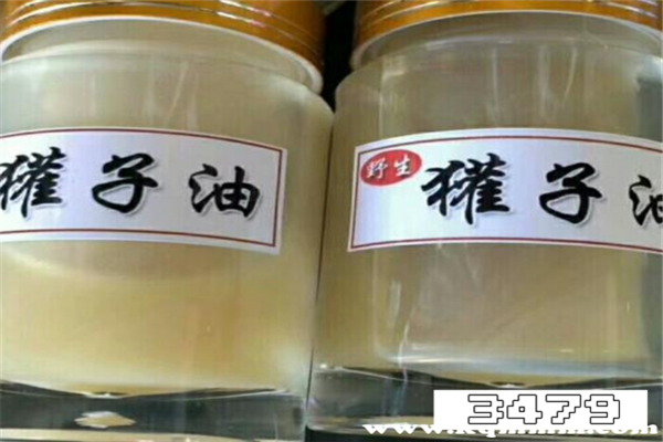 獾子油的危害，獾油的神奇功效