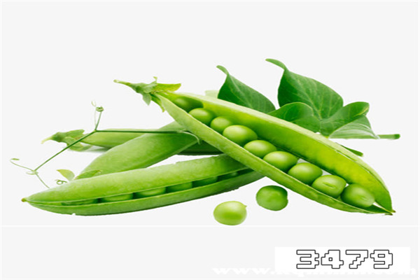 麦豆放在冰箱发芽了可以吃吗，麦豆里面豆子发芽了可以吃吗