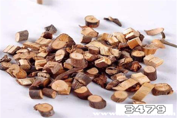 桂枝的功效与作用主治，桂枝的药用功效与作用