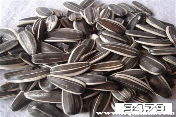 50颗瓜子的热量，一颗瓜子的热量是多少