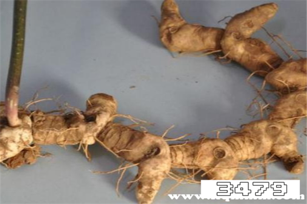 黄精对女人的功效与作用，九制黄精对女性的好处