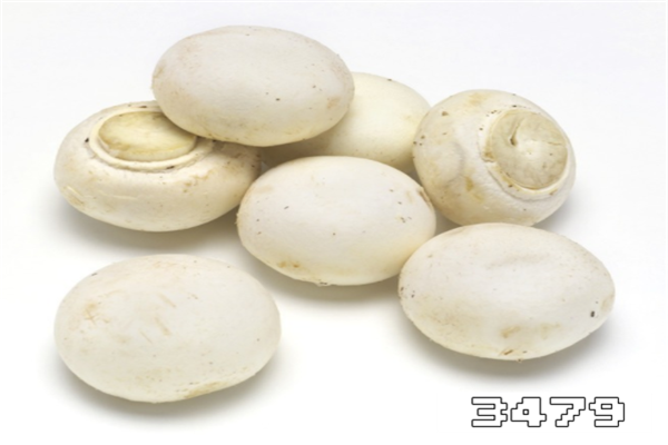 白蘑菇不能与啥一起吃，白蘑菇不能与什么同食