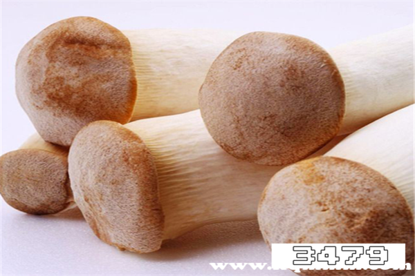 杏鲍菇营养价值及功效和禁忌，杏鲍菇炒肉的禁忌
