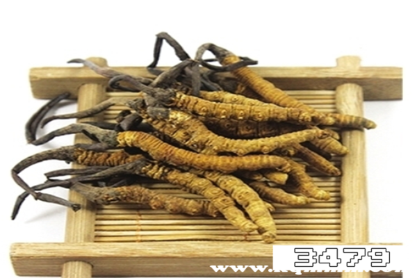 吃虫草禁忌什么东西，吃虫草要忌什么食物吗