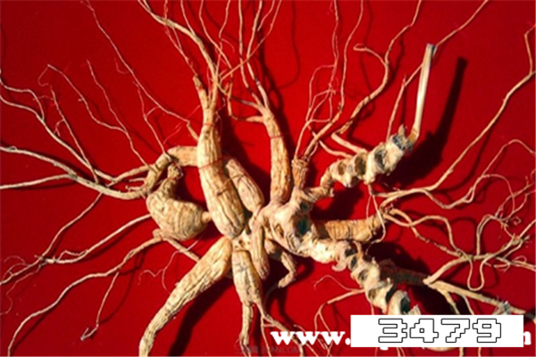 女人补气血吃什么参最好，女人补气血吃什么参好见效快