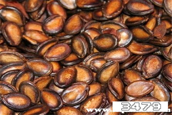 哪些人不宜吃西瓜子仁，减肥的人可以吃西瓜子吗