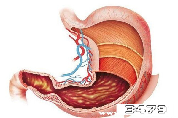 胃炎可以备什么零食饿了吃，胃病饿了吃什么点心好