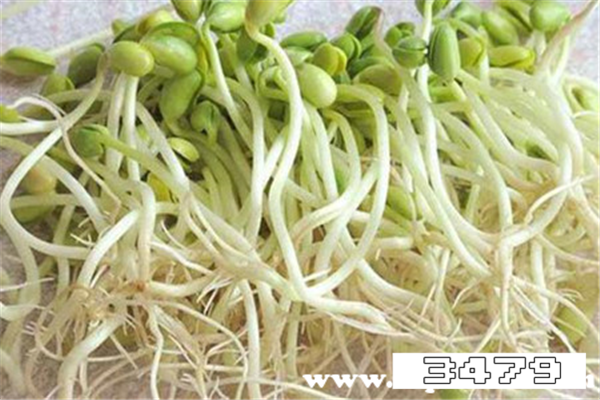 不能吃的豆芽怎样的，有毒绿豆芽的图片