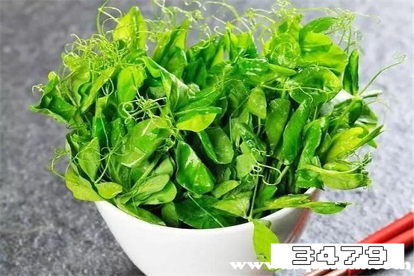 吃豌豆尖的禁忌，豌豆尖的功效与作用禁忌