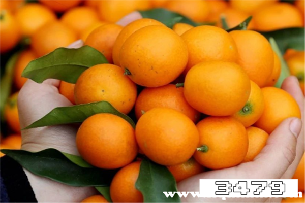 吃小金桔有什么好处和坏处，小金桔吃了对身体有什么好处