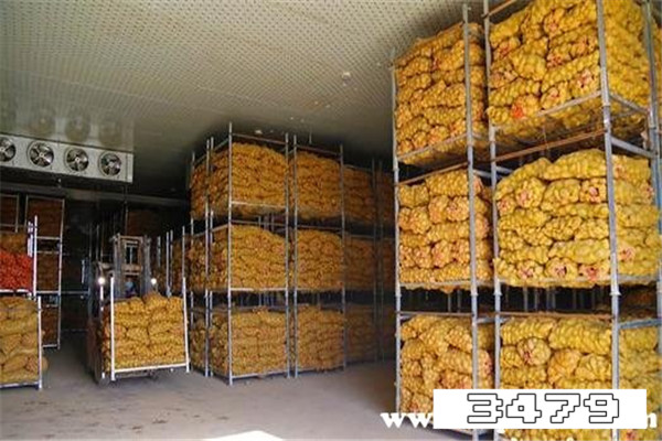 大量保存土豆不发芽的秘招，如何保存土豆不发芽不变绿