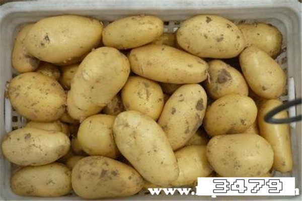 土豆切开后有一圈浅色能吃吗，土豆里面还有一圈黄圈能吃吗