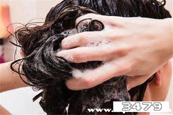 金星推荐的博滴生姜洗发水怎么样，金星代言的博滴洗发水怎么样