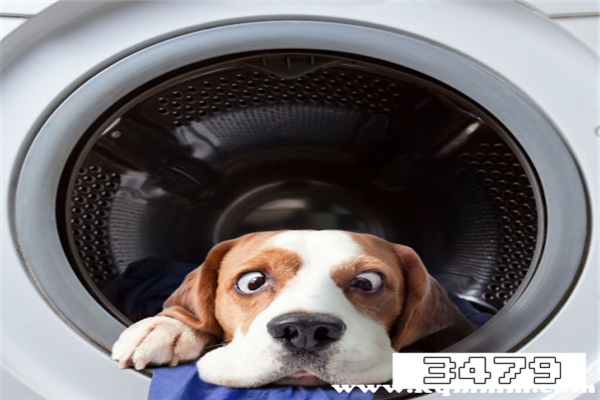 beko是什么牌子，beko和西门子哪个好