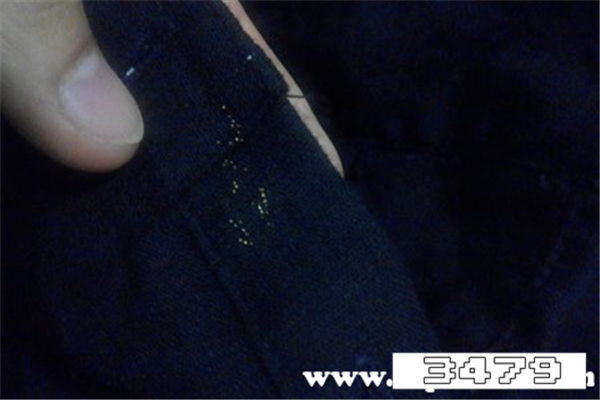 衣服上一粒粒黄黄的是什么卵，小黄点是什么虫卵