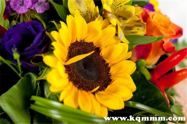 探望长辈病人买三样东西，是哪三样