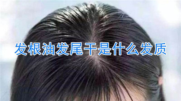 发根油发尾干是什么发质