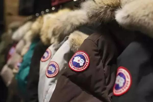 加拿大鹅的充绒量是多少，加拿大鹅适合的温度多少