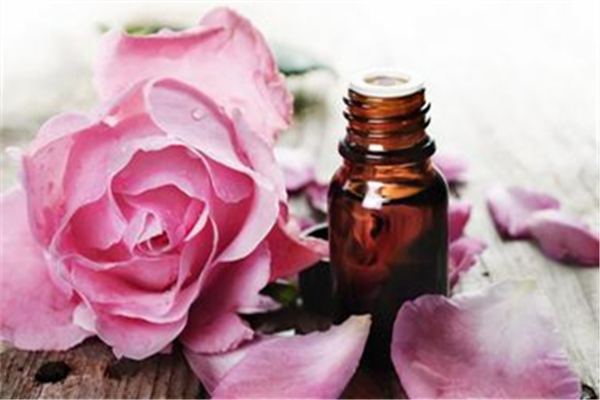 玫瑰精油真的能美白祛斑吗，玫瑰精油哪个品牌最好